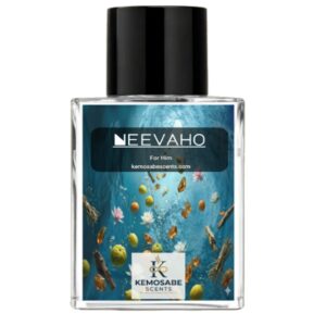 NeevaHo